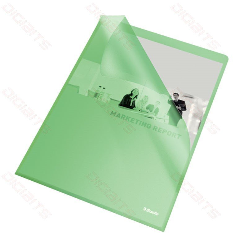 Esselte transparent plastic folder Green