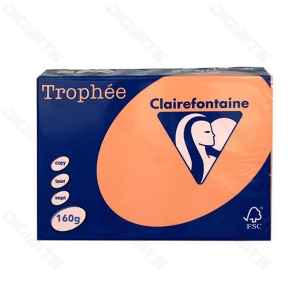 ClaireFontaine A4 160gr Orange (250sh)
