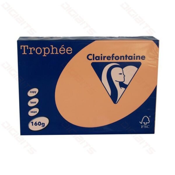 ClaireFontaine A4 160gr Peach (250sh)