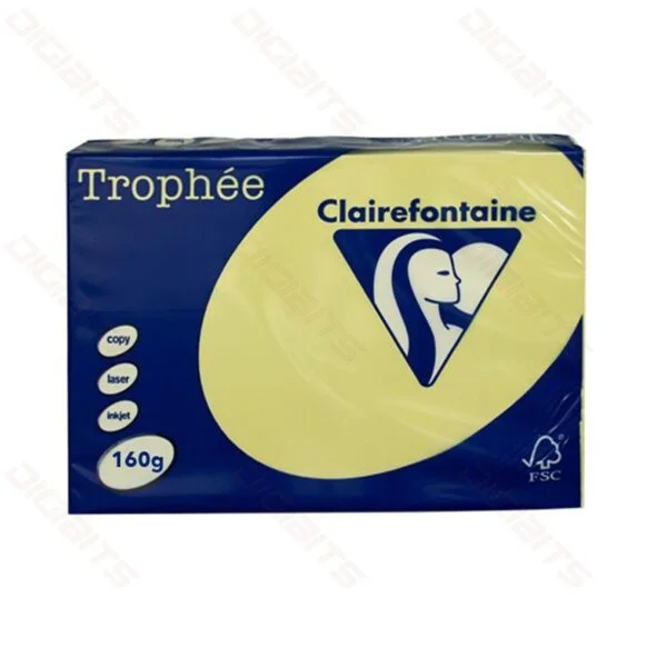 ClaireFontaine A4 160gr Daffodil (250sh)
