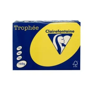 ClaireFontaine A4 160gr Yellow Intensive (250sh) ClaireFontaine A4 160gr Yellow Intensive (250sh)