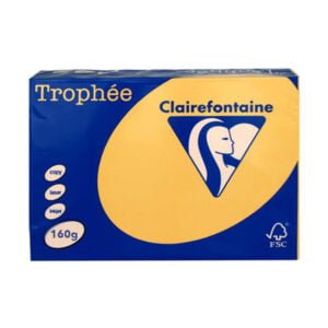 ClaireFontaine A4 160gr Gold (250sh)