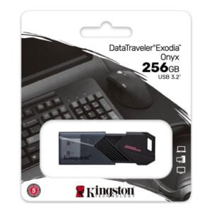 Kingston usb 256GB DTXON/256GB