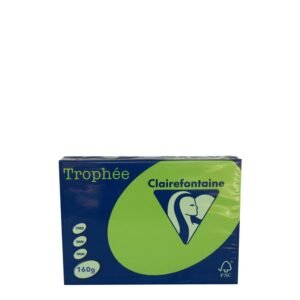 ClaireFontaine A4 160gr Green Intensive (250sh)
